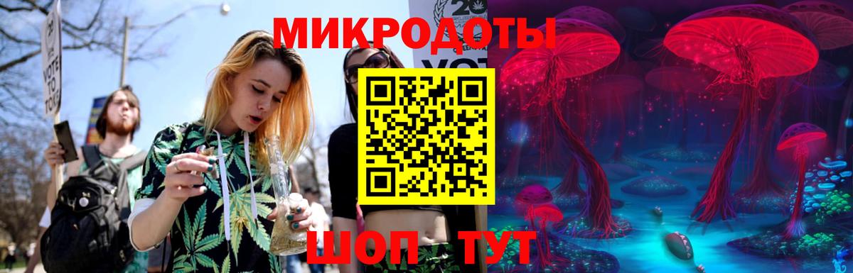 Галлюциногенные грибы Psilocybe  Вход с VPN  Лесосибирск 